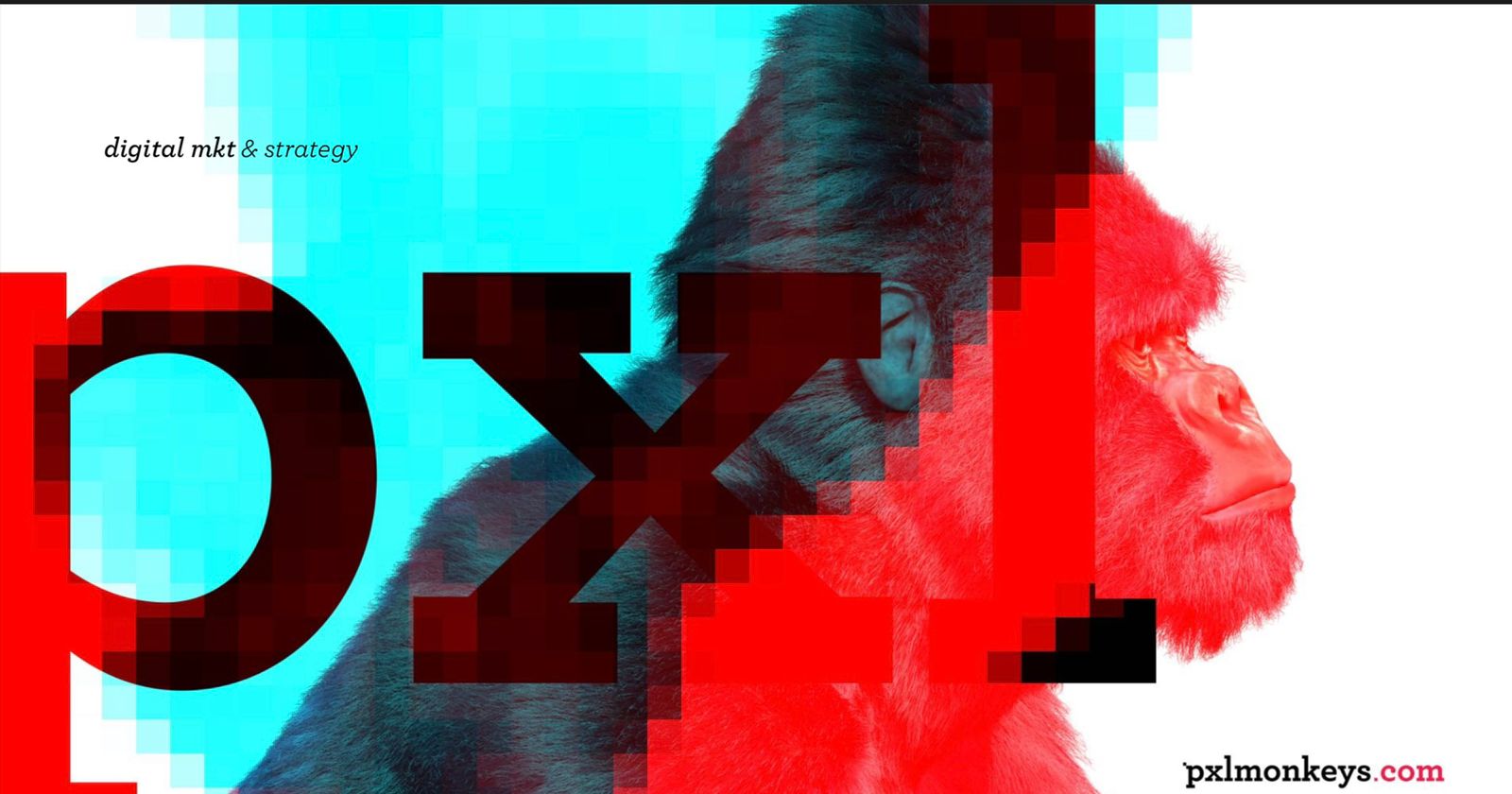 Pxl Monkeys